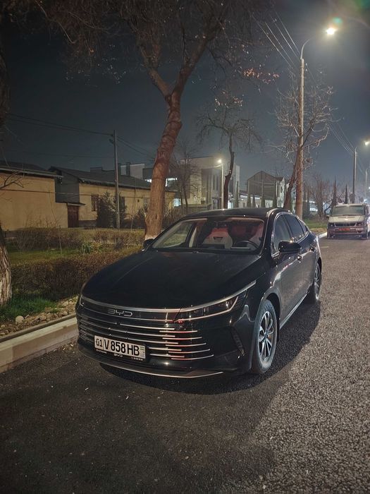 Chazor gubrit ozmki xolati zor