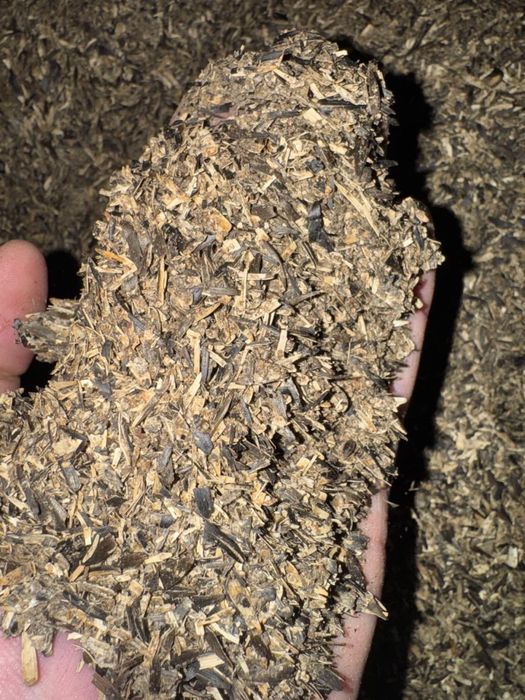 Шрот подсолнечный