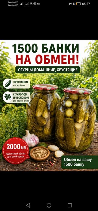 Засолка, огурцы, помидоры