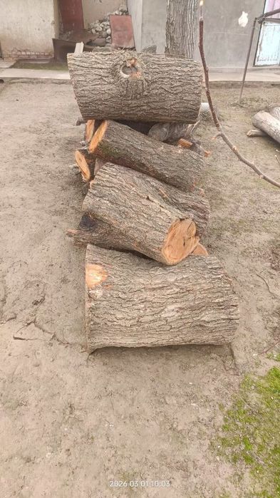 O'tin sotiladi narxi kelishiladi