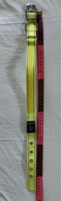 Zgarda cu LED pt caine