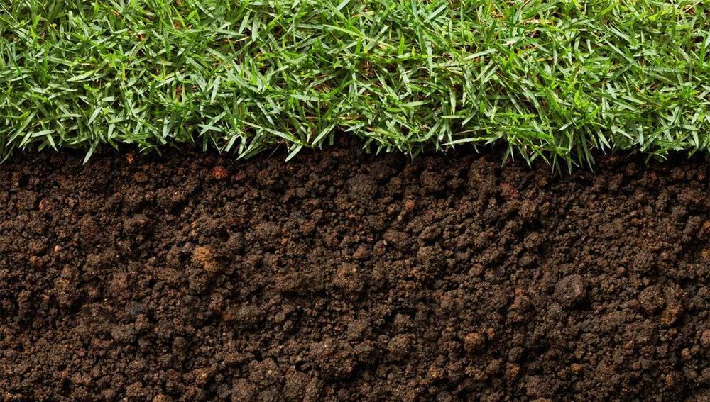 Pamant negru vegetal pentru gradina sau gazon SUPER PRET