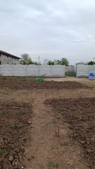 Teren de vanzare in Petrăchioaia - Surlari