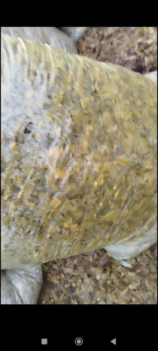 Дони жуда кўп Водий селоси сотилади