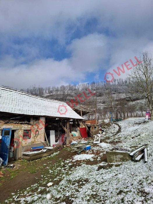 De vânzare casă familială Gogani