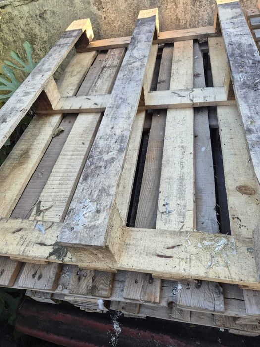 Paleti lemn pentru canapele 18 lei/buc