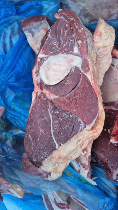 Мясо говядина свежое