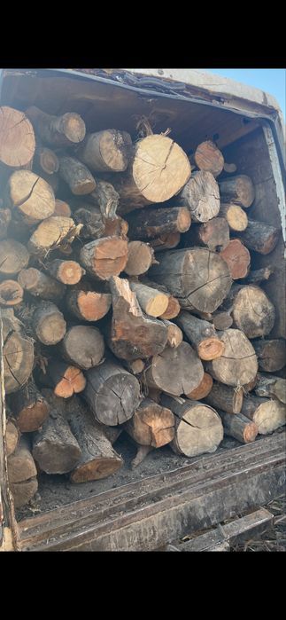 Lemne de foc uscat 230 Ron metru ster
