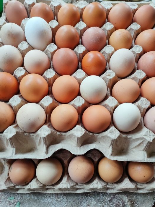 Яйцо домашние вкусные