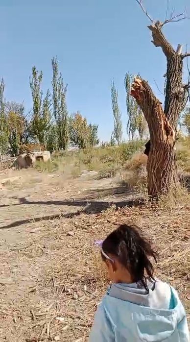 Уй сатылады жеримен