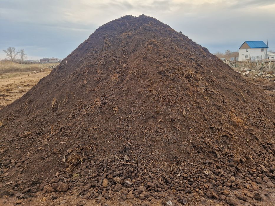 Свежий конский навоз перегной