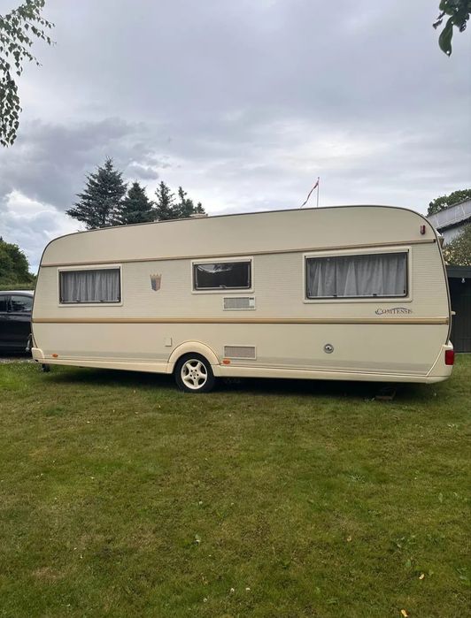 Tabert Comtesse 560