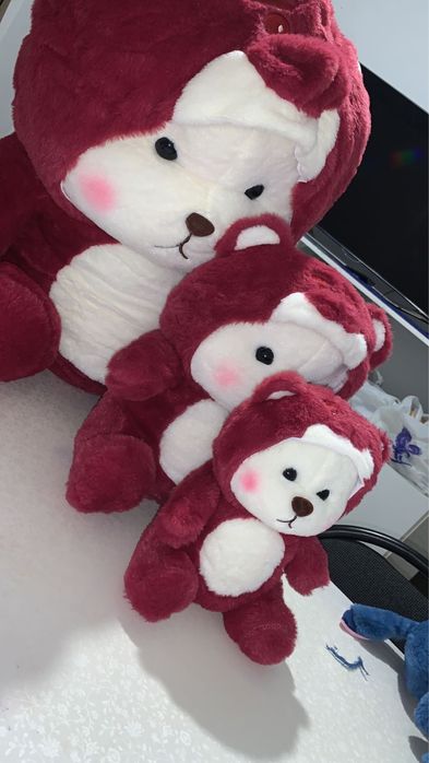 Плюшевые мишки с капюшоном