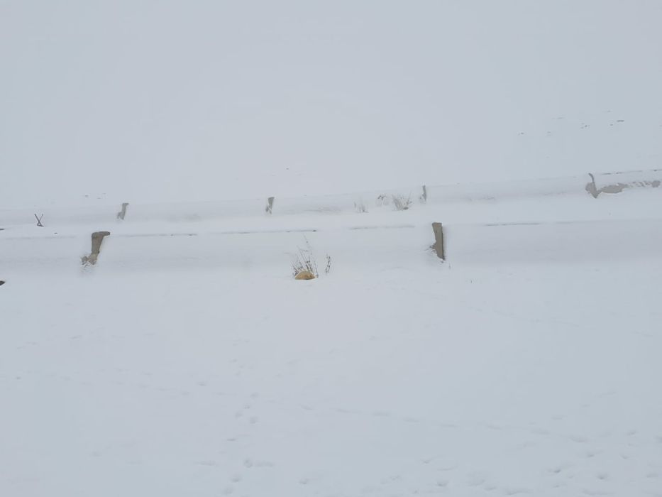 Фазенда сатылады