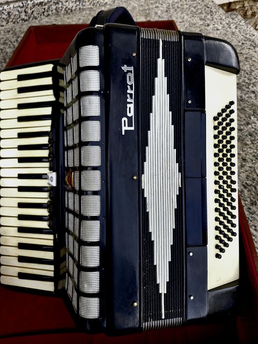 Acordeon Parrot cu 80 de bași negru