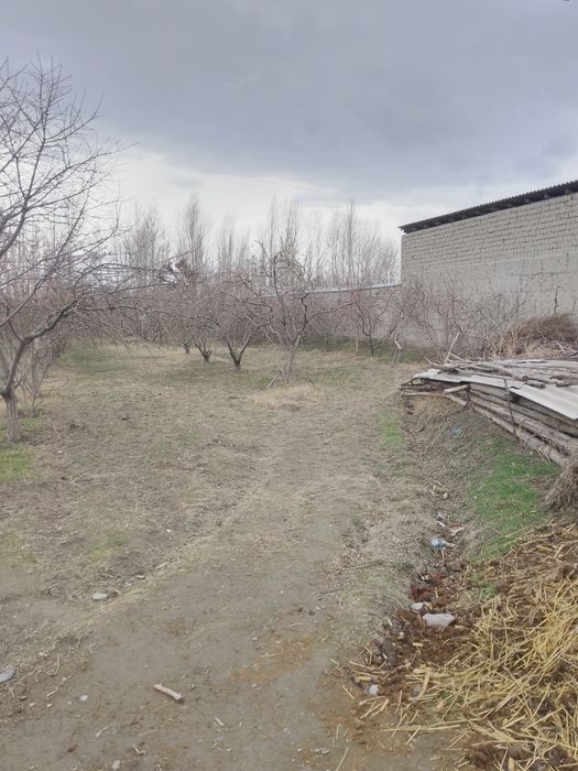 Буш ер участка сотилади