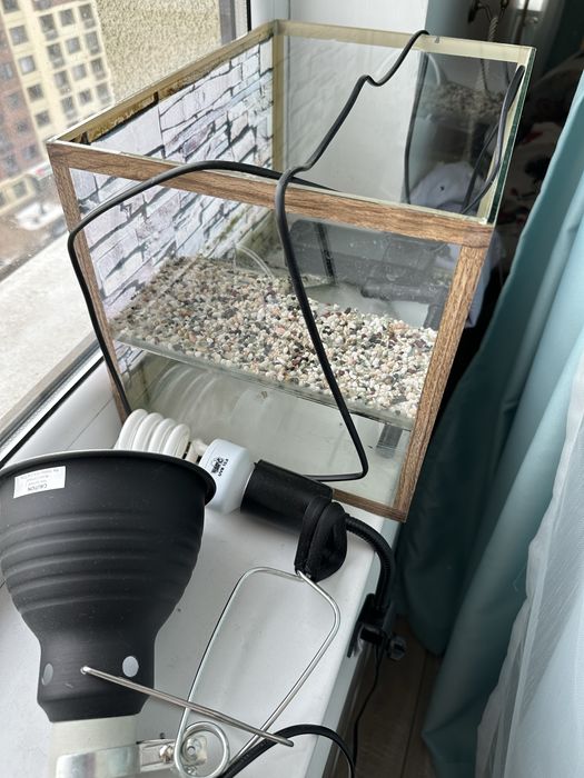 Аквариум для красноухой черепашки