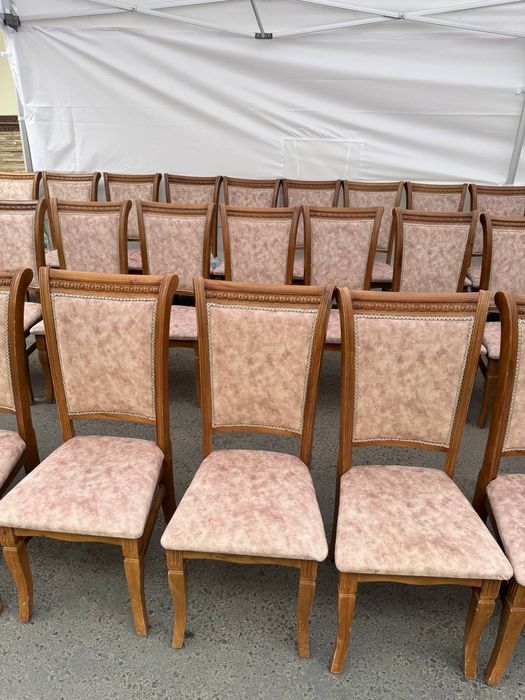 Аренда стол стул 24/7 Prokat Stol stul naves prokat stol stul