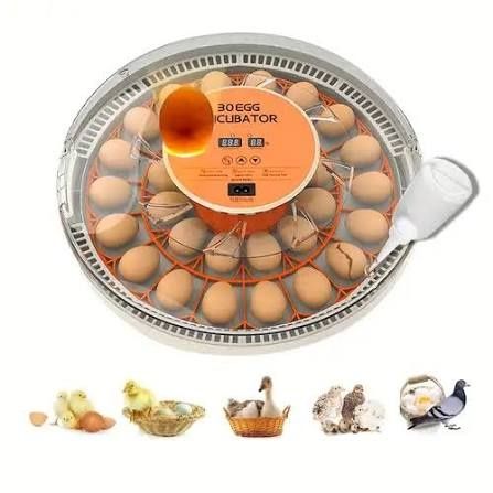 Продавам нов дигитален инкубатор за яйца с автоматично обръщане