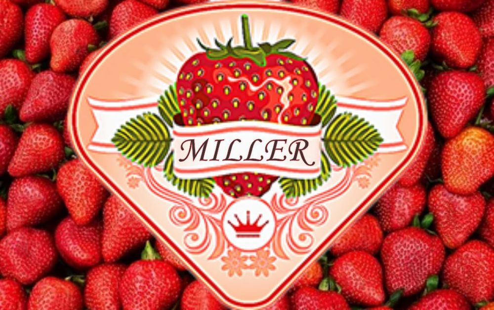 Etiketkalar Етикеткалар Karobkali Flayir Buklet Va Boshqa Turdagi  Ma