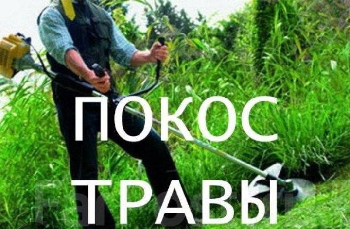 Выкос травы тримером