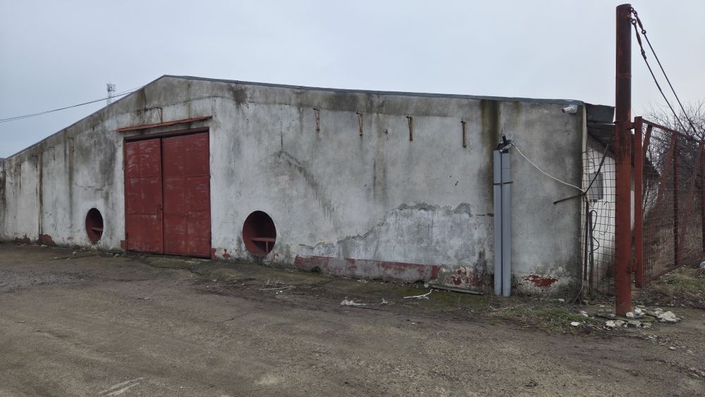 Hala de vanzare 1200 mp.