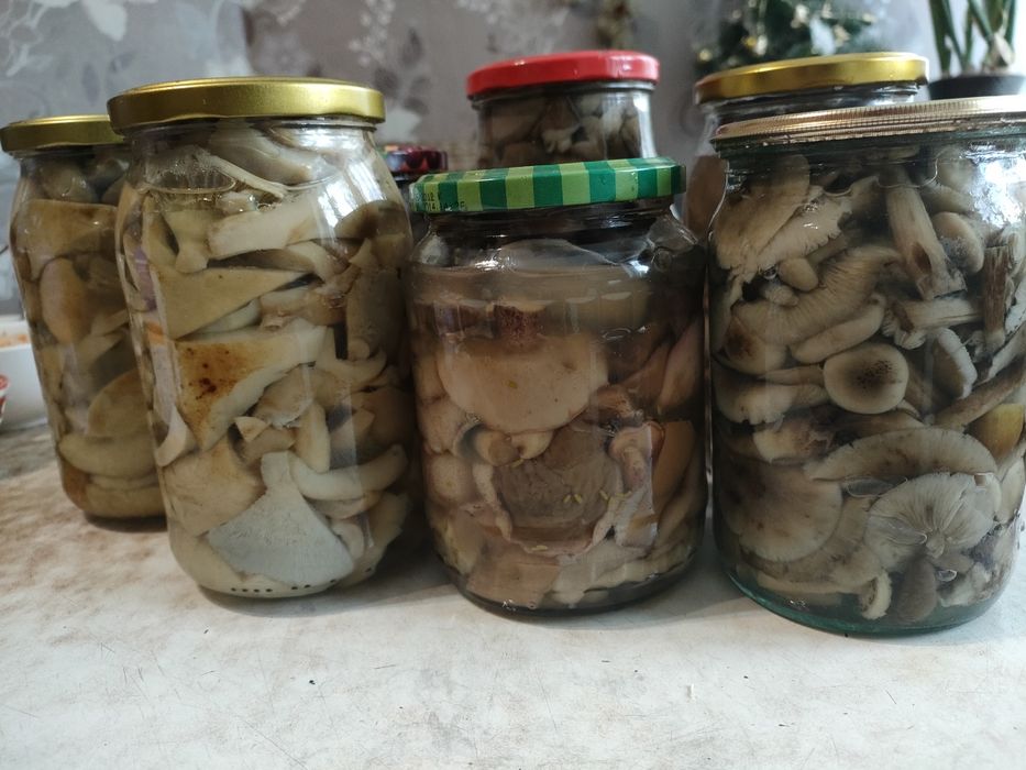 Продам соленые и маринованные грибы
