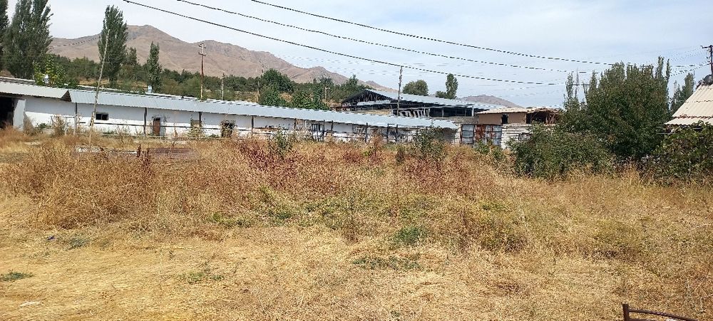 Ferma sotiladi .daca zona