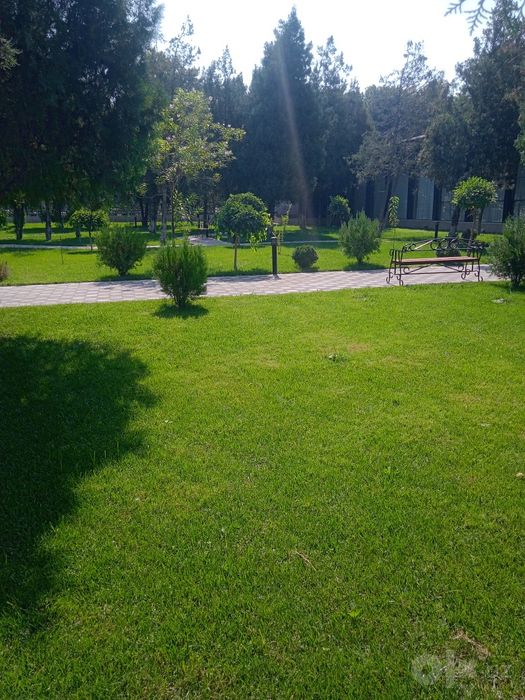 Gazon landshaft palif xizmati samarkand