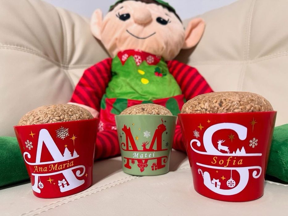 Ghivece personalizate cu grau pentru Sfantul Andrei