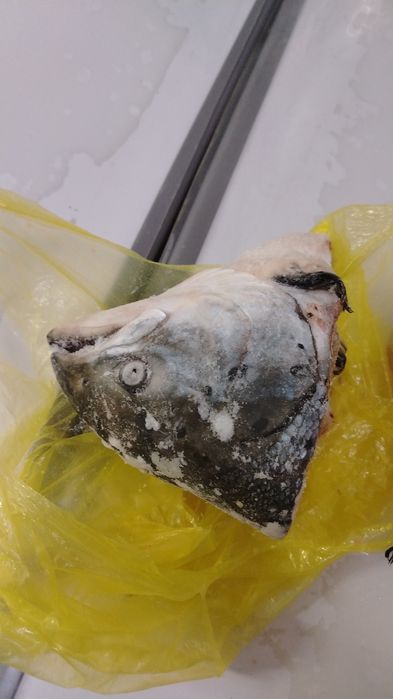 Голова семги штучно