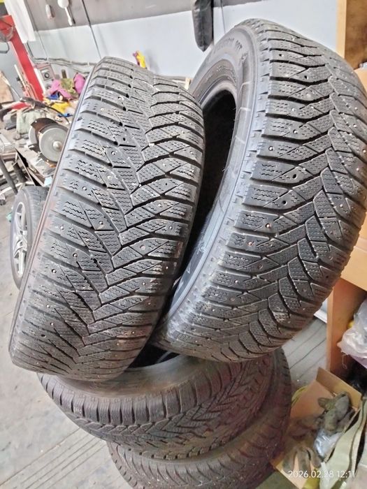 Шины зимние Triangle