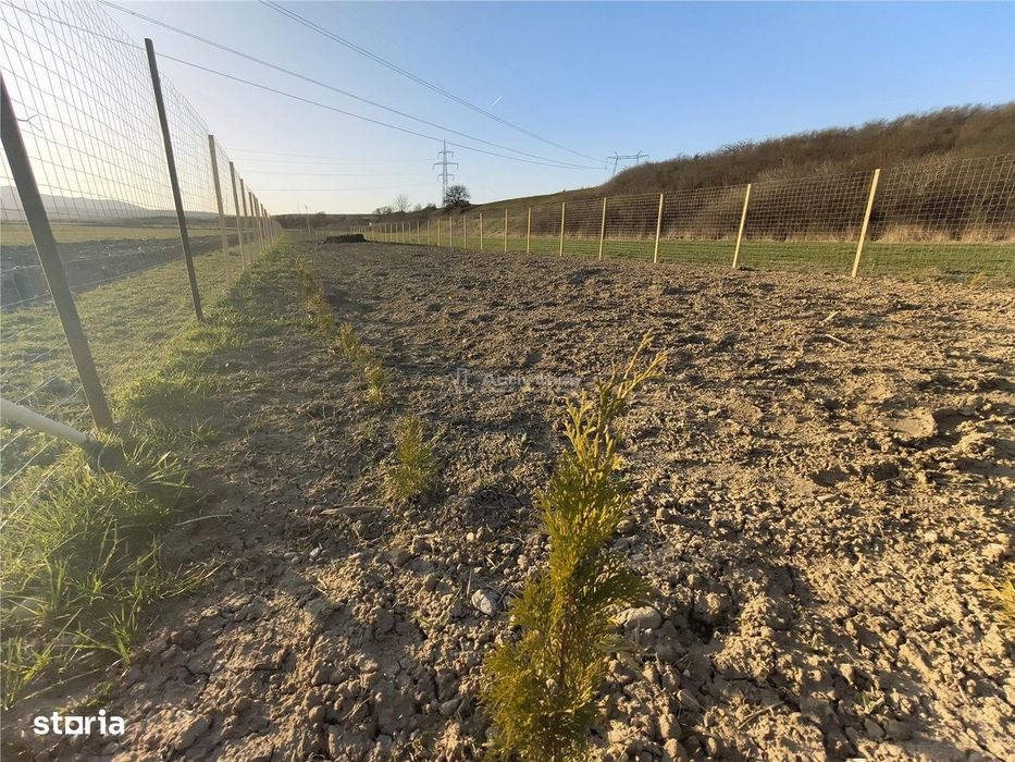 Teren extravilan de vanzare Talmaciu