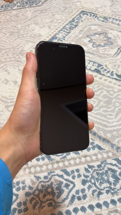iPhone 12 Pro Max 256GB