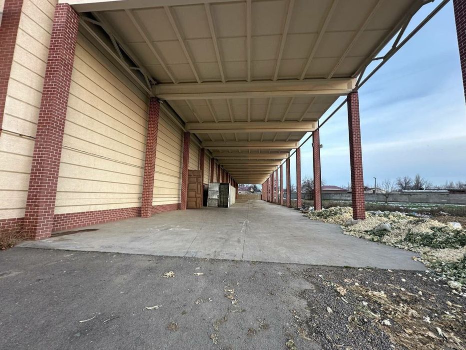 Срочно Горит Продается Земля Чингельди 5 Га