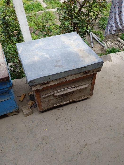 Асалари яшиклари