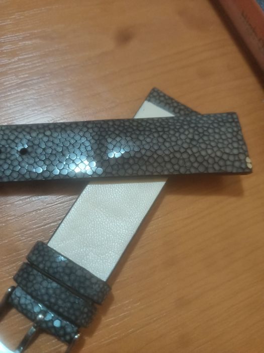 Curea de  ceas pisica de mare