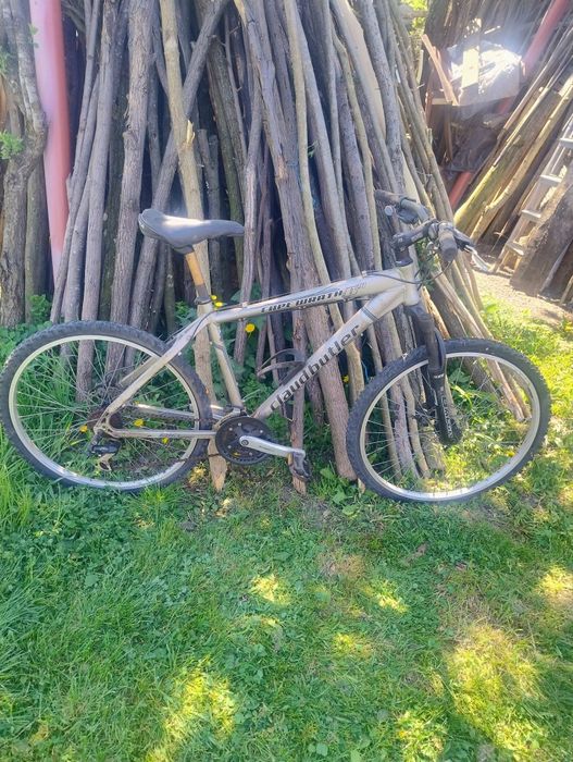Bicicleta Marin...