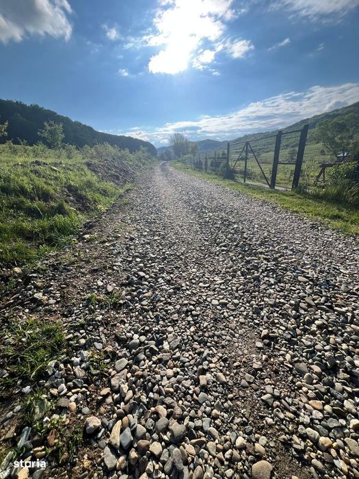 Teren Intravilan 2.000 Mp – Zonă Valea Chiejdului | Posibilitate Pa