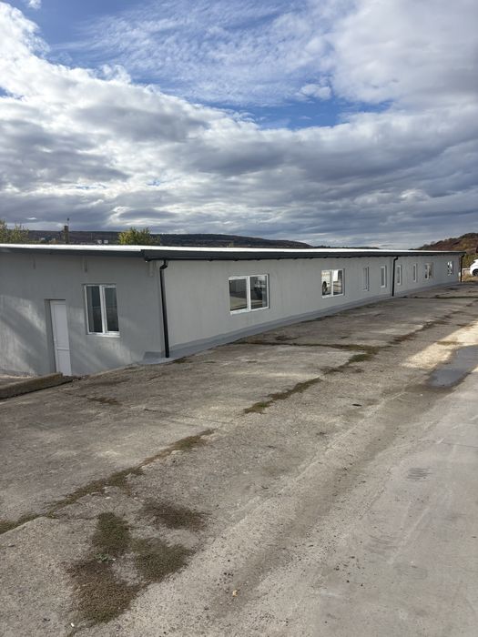 Hale de inchiriat zona strazii Oasului
