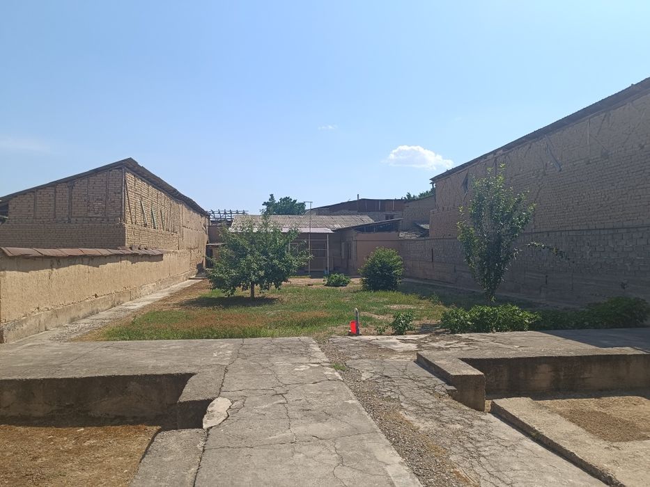 Nazarbek Tarnov 8 sotik 1 sotigi 17000$ kelishamiz tepasida