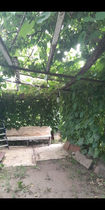 продам дачу. СО Мичуринец