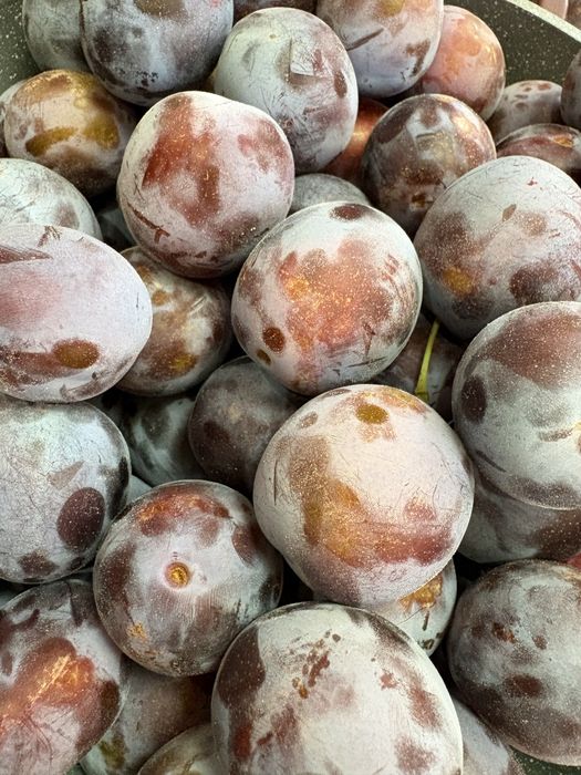 Vand prune livada proprie