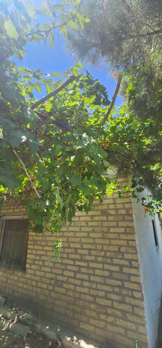 Продаётся дачный участок