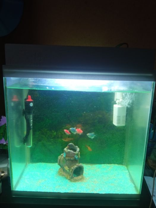 Продам аквариум на 40 л