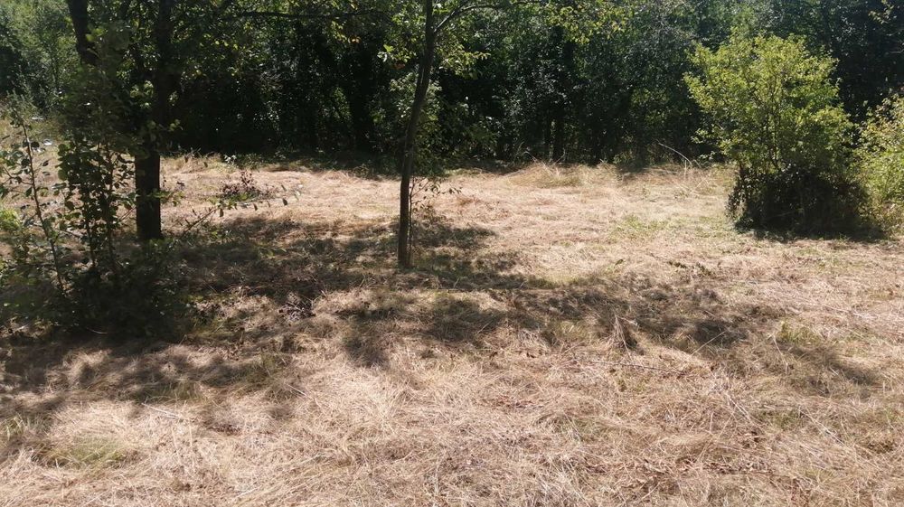 Продава се Парцел в с. Дръмша, Област София-област - 949 кв.м за 50 €/кв.м - Снимка #4