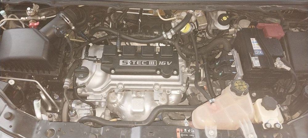 Kobilt yaxwi mowina ezilmagan