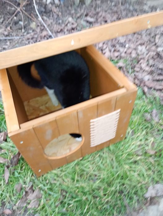 Vând Cușcă pisici nefolosită