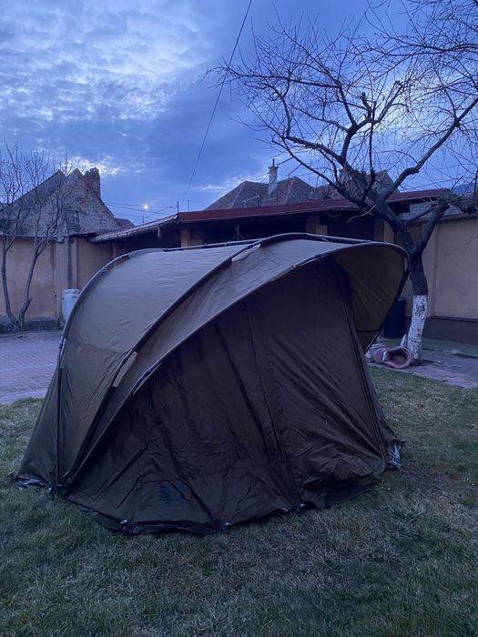 cort fox r-series 1 man xl