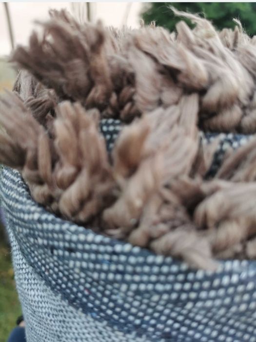 Covor de calitate par lung dimensiuni 140×190